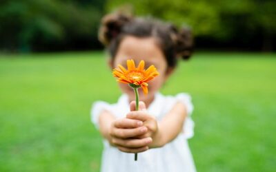 Verantwortung bewusst gestalten – für Menschen, Gesellschaft und Umwelt